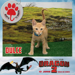 DULCE